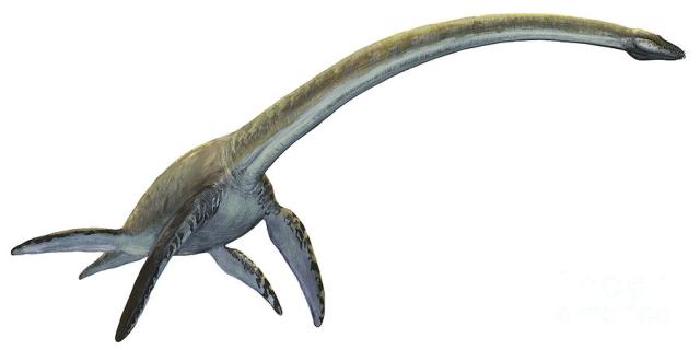 elasmosaurus-platyurus-a-prehistoric-sergey-krasovskiy